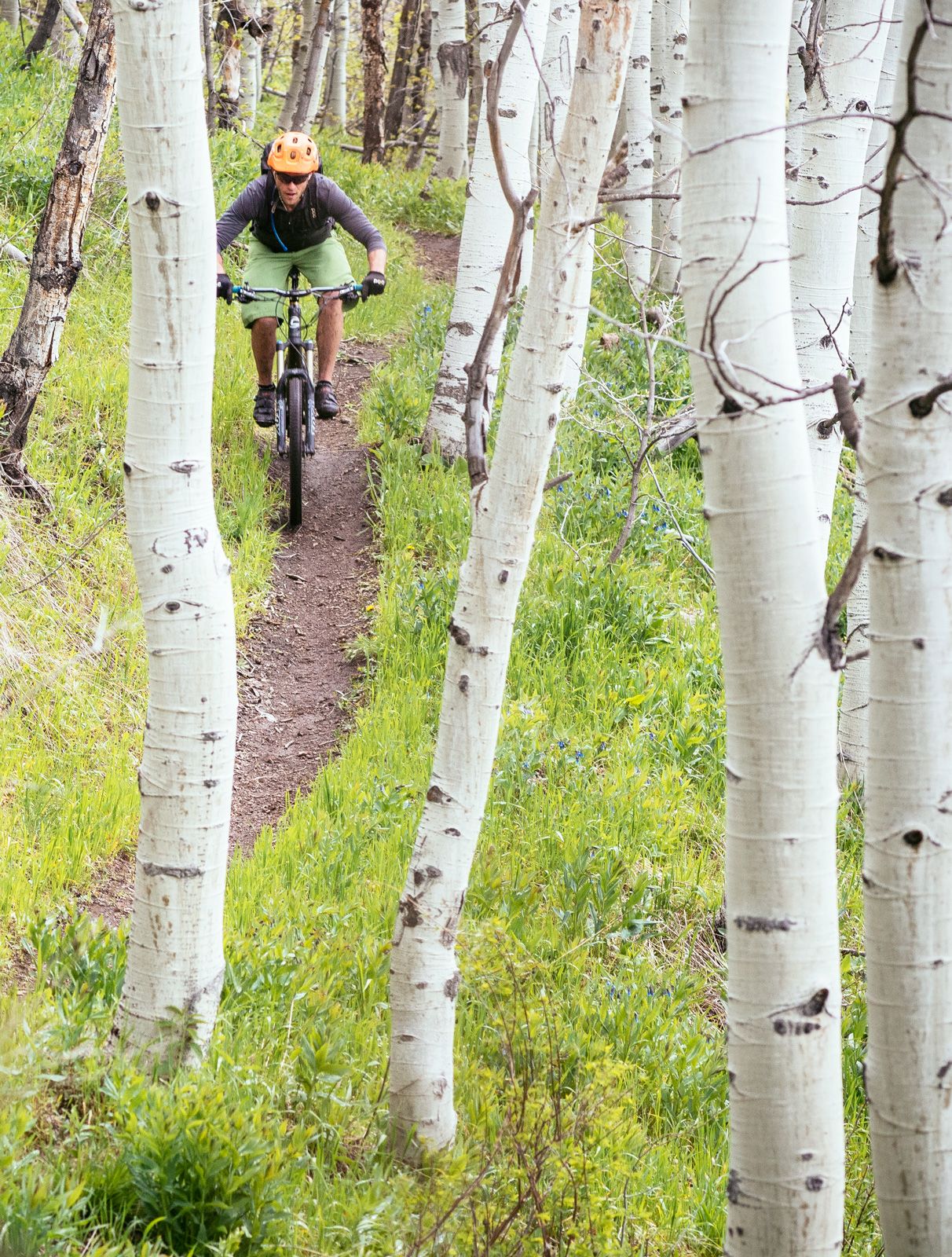 The 10 Most Beautiful Bike Rides In Toronto Beautiful Bike