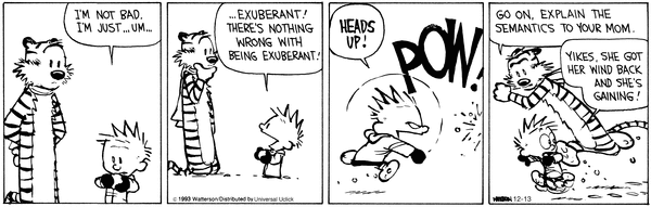 There's nothing wrong with being exuberant. Calvin And Hobbes Quotes, Calvin And Hobbes Comics, Hobbes And Bacon, John Calvin, My Calvins, Cartoon Strip, Non Sequitur, Seriously Funny, Gabes