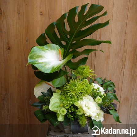 花屋 アーティストで選べるお花屋さん Kadan Ne Jp 野崎 伊佐夫作品詳細 Green Green お花屋さん 花 グリーン 花屋 アーティストで選べるお花屋さん Kadan Ne Jp 野崎 伊佐夫作品詳細 Green Green お花屋さん 花 グリーン