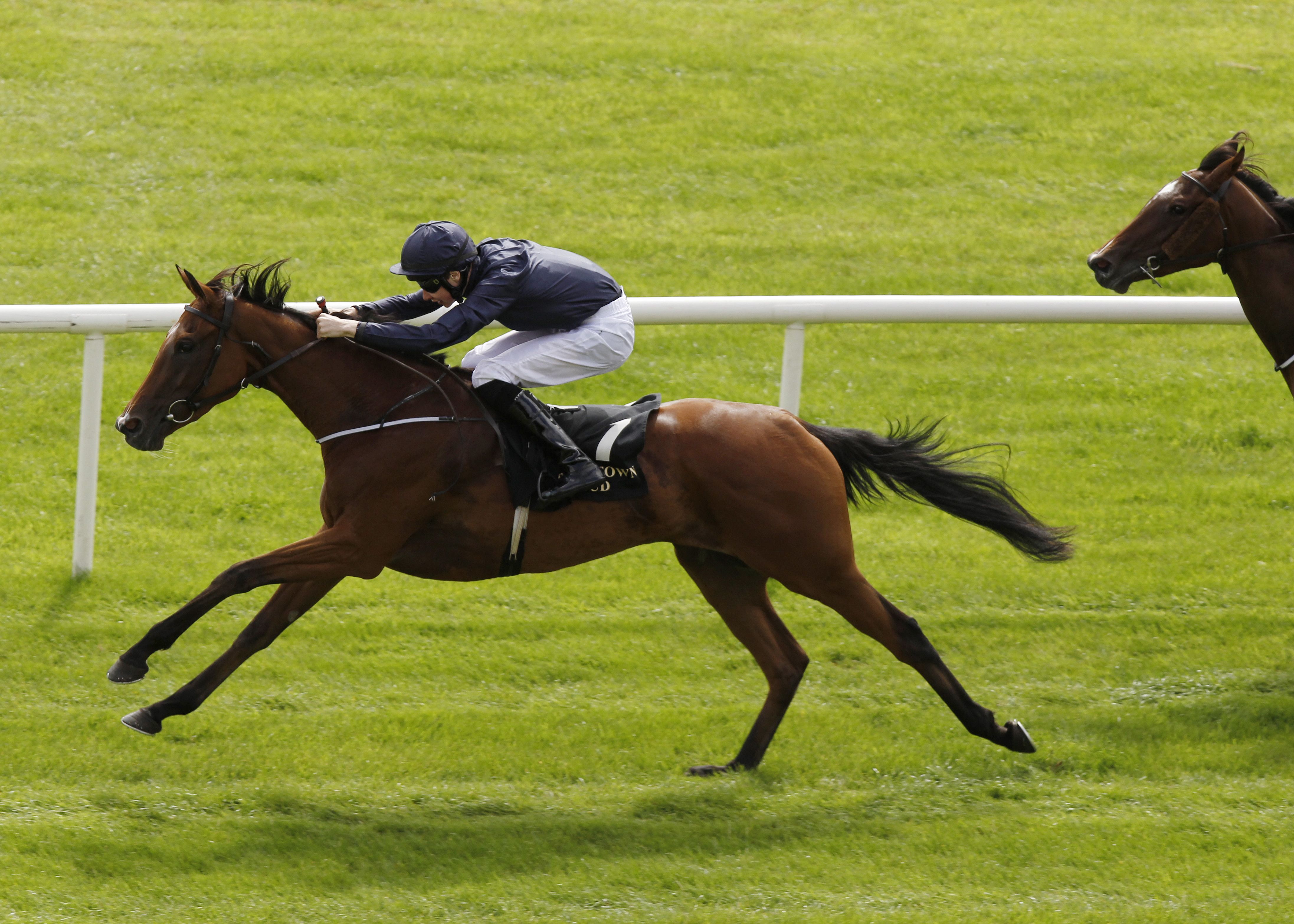 Tapestry And Joseph O Brien Win The Friarstown Stud Debutante Stakes The Curragh Photo Patrick Mccann 11 08 2013 Photo Horses Animals