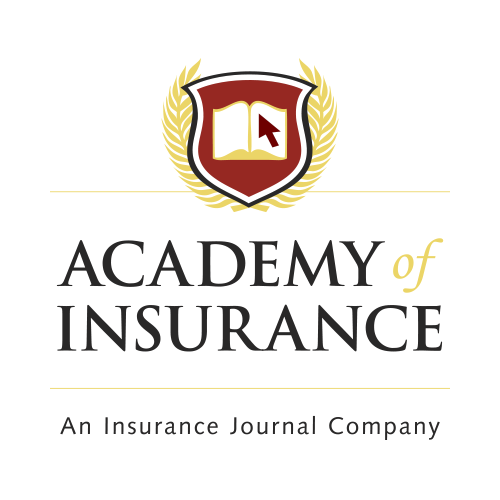 Learn From The Best Without Leaving Your Desk Academy Fun