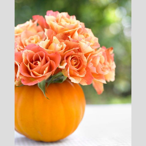 Ideias para a decoraraç u00e3o de um casamento de outono #casamento #decoraç u00e3o #mesas #flores # -> Decoração De Casamento Tema Outono Ideias para a decoraraç u00e3o de um casamento de outono #casamento #decoraç u00e3o #mesas #flores # -> Decoração De Casamento Tema Outono