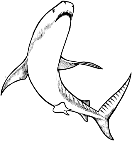 Pin On Examples Customize Coloring Pages