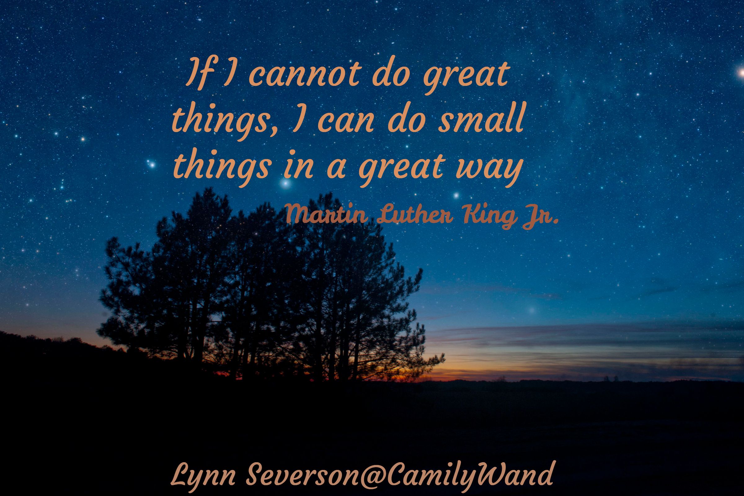 Lynn Severson CamilyWand Martin Luther King Jr If I Cannot Do lynn-severson-camilywand-martin-luther-king-jr-if-i-cannot-do