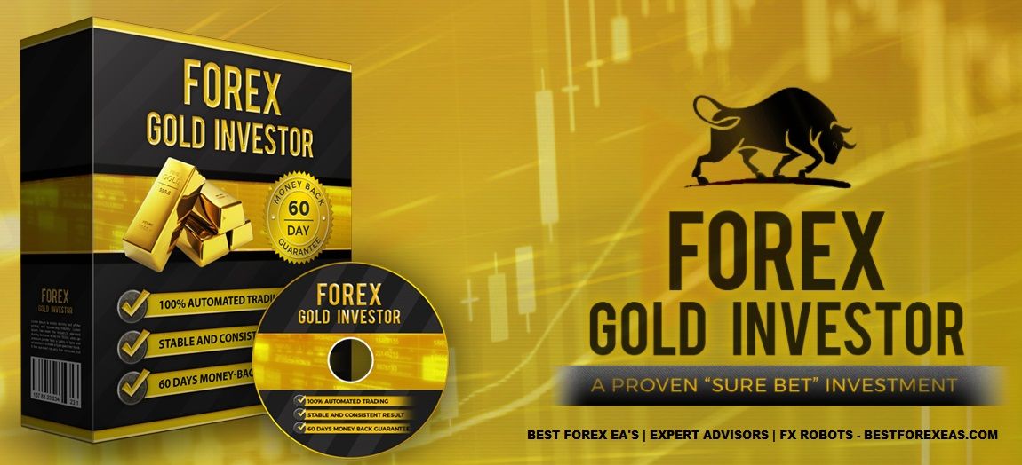 Best forex team