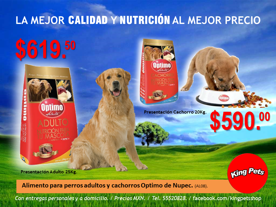 Alimento Optimo De Nupec Alimentos Para Perros Anuncios De Comida Alimentos Alimento Optimo De Nupec Alimentos Para Perros Anuncios De Comida Alimentos