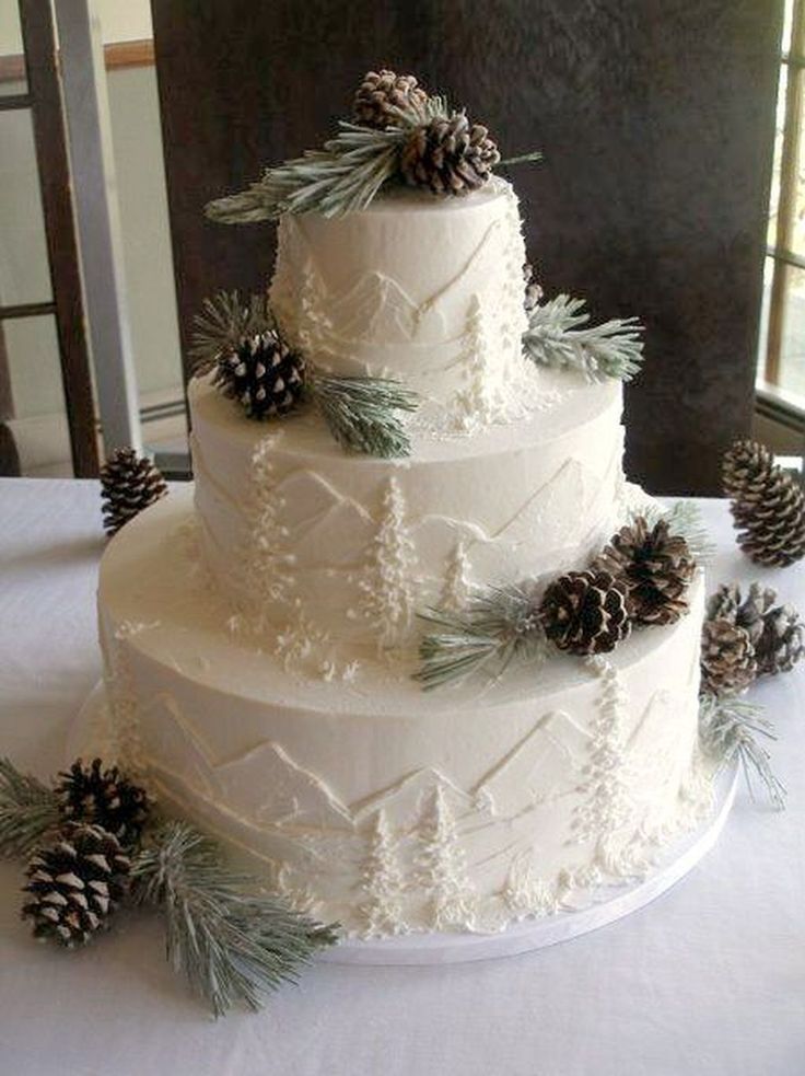 Pinterest | Winter wedding cake, Wonderland wedding cake, Rustic winter