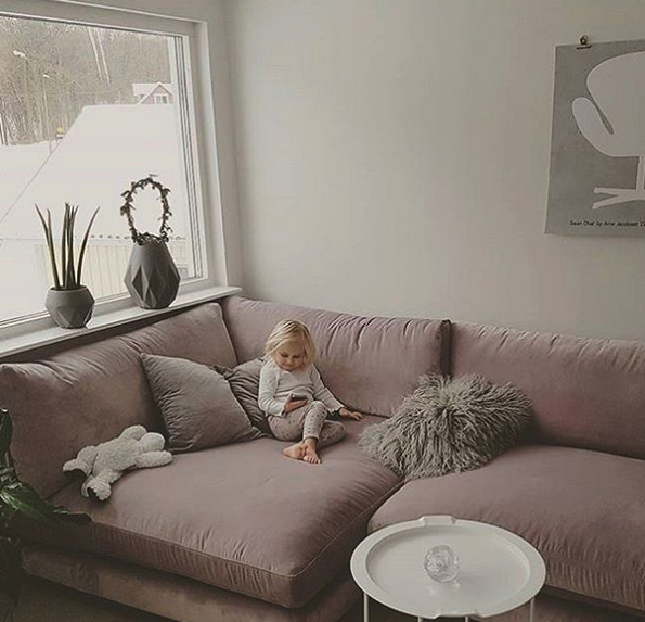 Rosa mammuten modulsoffa i sammet. modul, soffa, djup, rymlig, låg ...