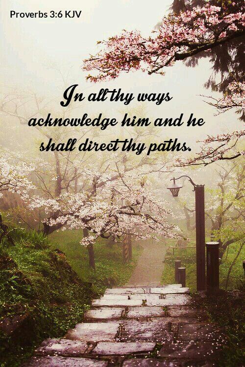 Proverbs 3:6 KJV | Vintage landscape, Beautiful landscapes, Landscape trees