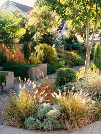 Create a Water-Saving Garden with These 11 Drought-Tolerant Landscaping Ideas Water Saving Landscape, Water Saving Gardening, Drought Tolerant Landscape Front Yard, Drought Tolerant Perennials, Drought Tolerant Landscape California, California Landscaping, California Backyard, California Native Garden, Garden Water Feature