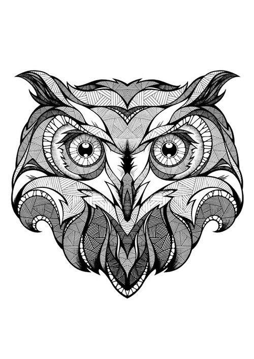 Owl Face Owl Coloring Pages Owls Drawing Owl Art