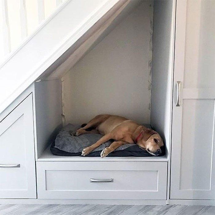 Decorative Pet Products Design Ideas To Spoil Your Pet Under Stairs decorative-pet-products-design-ideas-to-spoil-your-pet-under-stairs