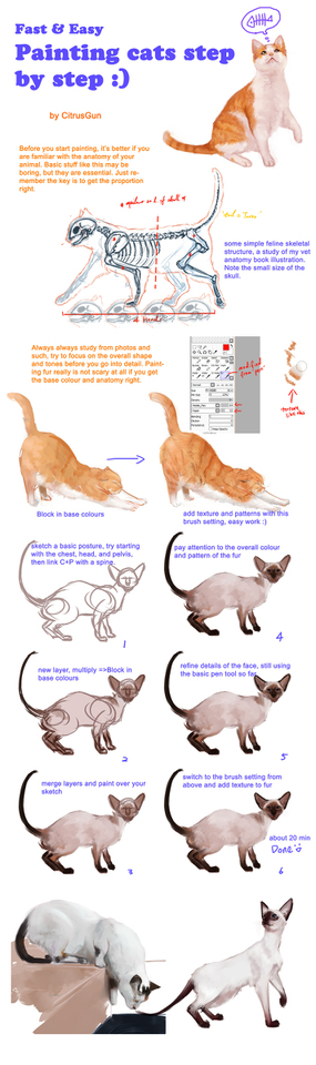 厚塗り ねこの塗り方 英語only C菌のイラスト 水彩猫 猫 骨格 ねこ