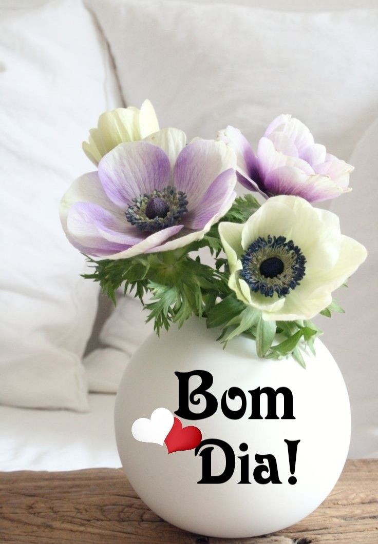Pin Em S BOM DIA Bom Dia Com Flores Fotos De Bom Dia Mensagens De Pin Em S BOM DIA Bom Dia Com Flores Fotos De Bom Dia Mensagens De