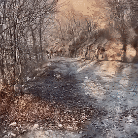 Magic Trick Magic Tricks Best Funny Pictures Funny Gif Magic Trick Magic Tricks Best Funny Pictures Funny Gif