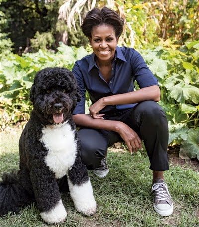 First Dog Bo From American Grown The Story Of The White House
