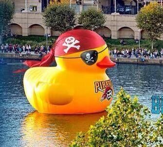 Giant Rubber Duck World Tour Rubber Ducky Pittsburgh Dutch Artists