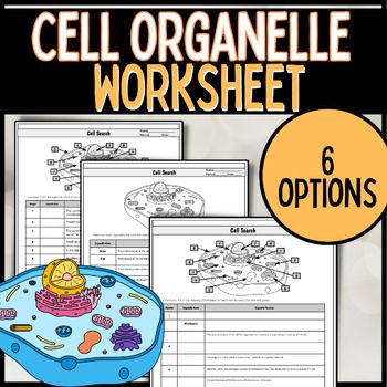 Plant and Animal Cell Organelle Identification Worksheet in 2025 Plant and Animal Cell Organelle Identification Worksheet in 2025