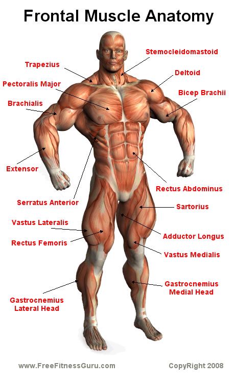 Pin on Masculine Fitness