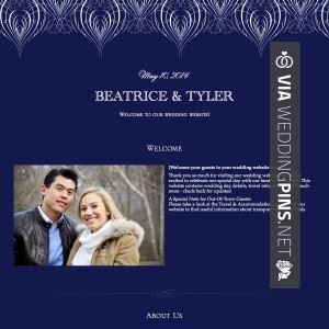 wedding website welcome message wedding photography wedding website welcome message
