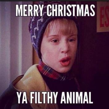Clean Christmas Memes for Sharing and LOLing - Digital Mom Blog #christmasfunny
