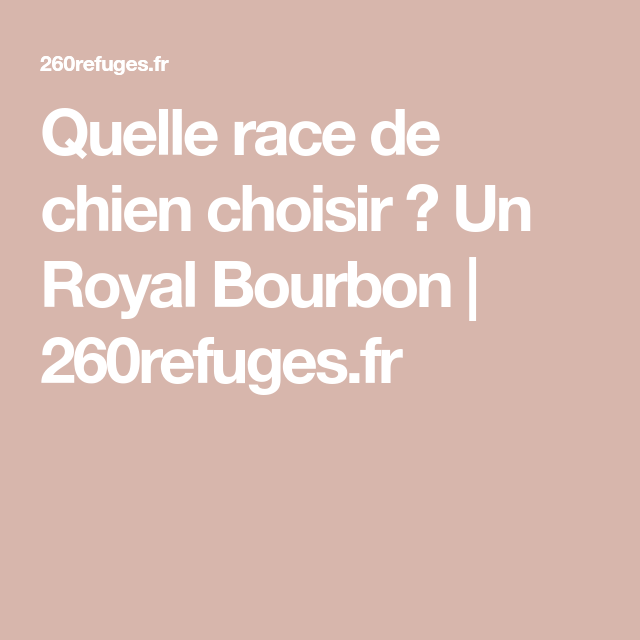 Quelle Race De Chien Choisir Un Royal Bourbon 260refuges