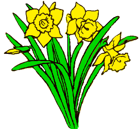 Daffodils Line Drawings Of Flowers Flower Drawing Flower Line Drawings Flower Sketches
