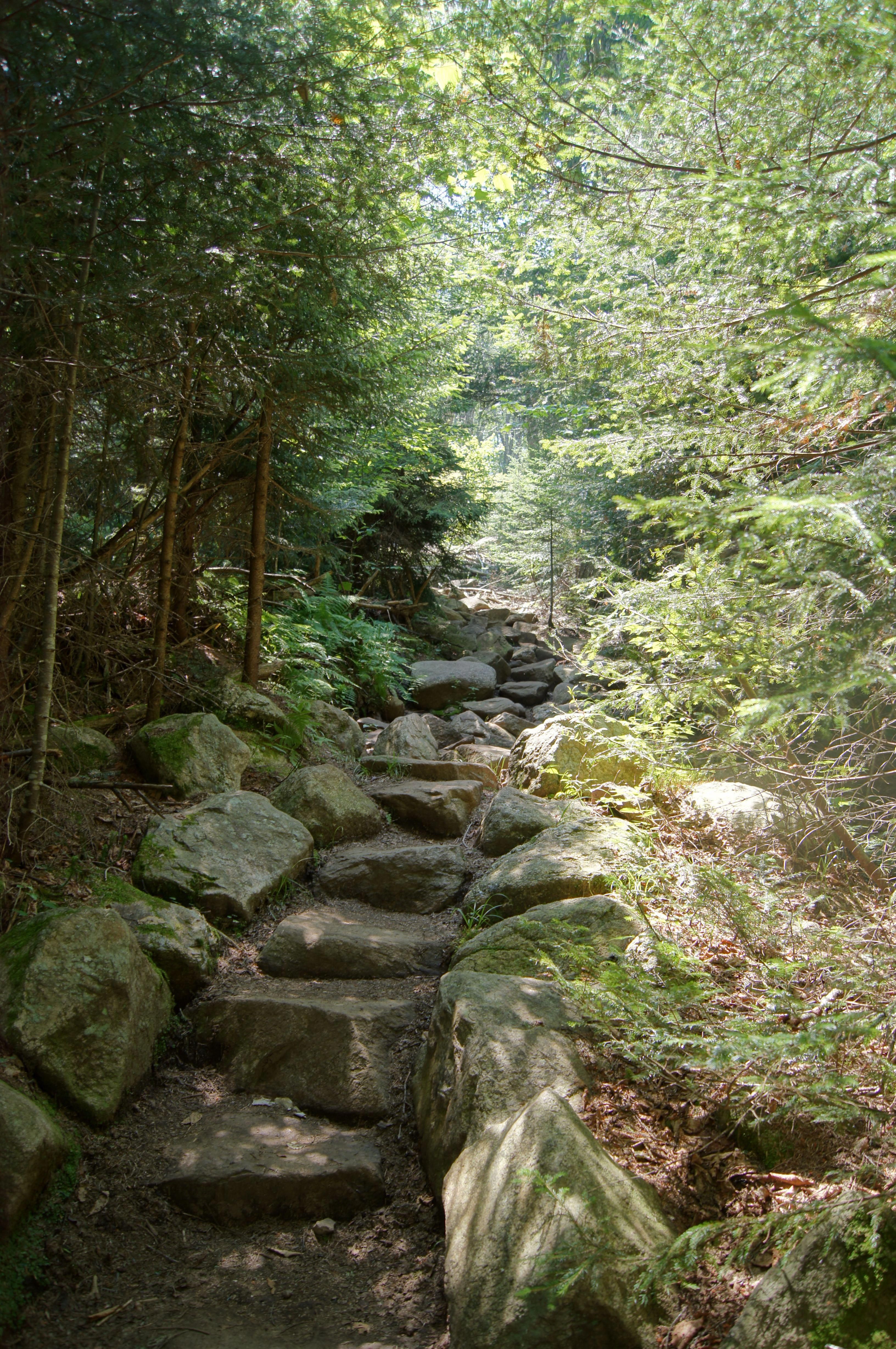 Blue Mtn Trail Adirondacks Ny Hiking Hiking Trip Camping And Hiking The Great Outdoors