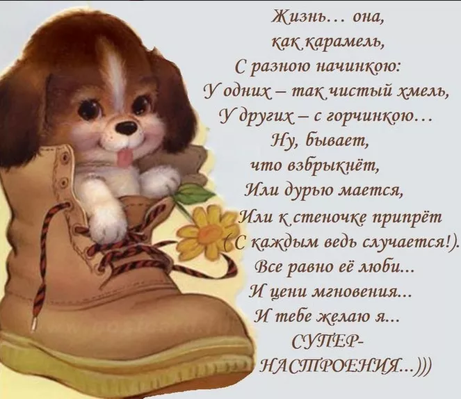 Трогательные смс ко дню рождения фотографа в стихах в 2019 году Трогательные смс ко дню рождения фотографа в стихах в 2019 году