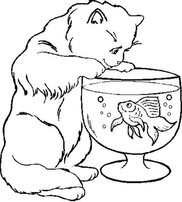 Cat Trying To Catch Fish In Fish Bowl Coloring Page Download Print Online Coloring Pages For Fre Animal Coloring Pages Cat Coloring Page Fish Coloring Page
