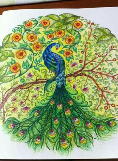 Download Pin by Sherry Calder on Coloring | Secret garden coloring book, Secret garden colouring, Johanna ...
