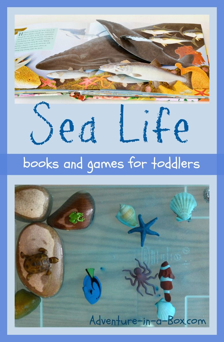 Sea Life for Toddlers: Books and Games | Oceans and Seas | Ocean