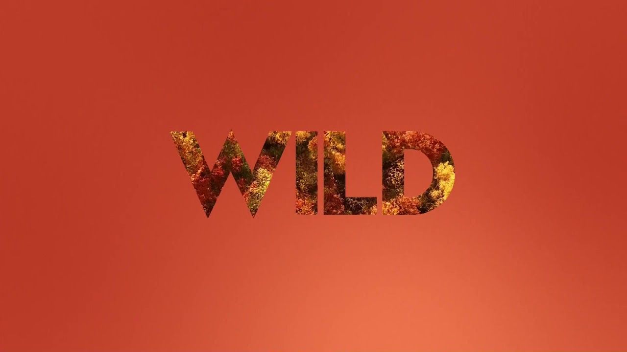 Nat Geo Wild New 2019 Ident Full Hd National Geographic Wild Wild Logo Wild