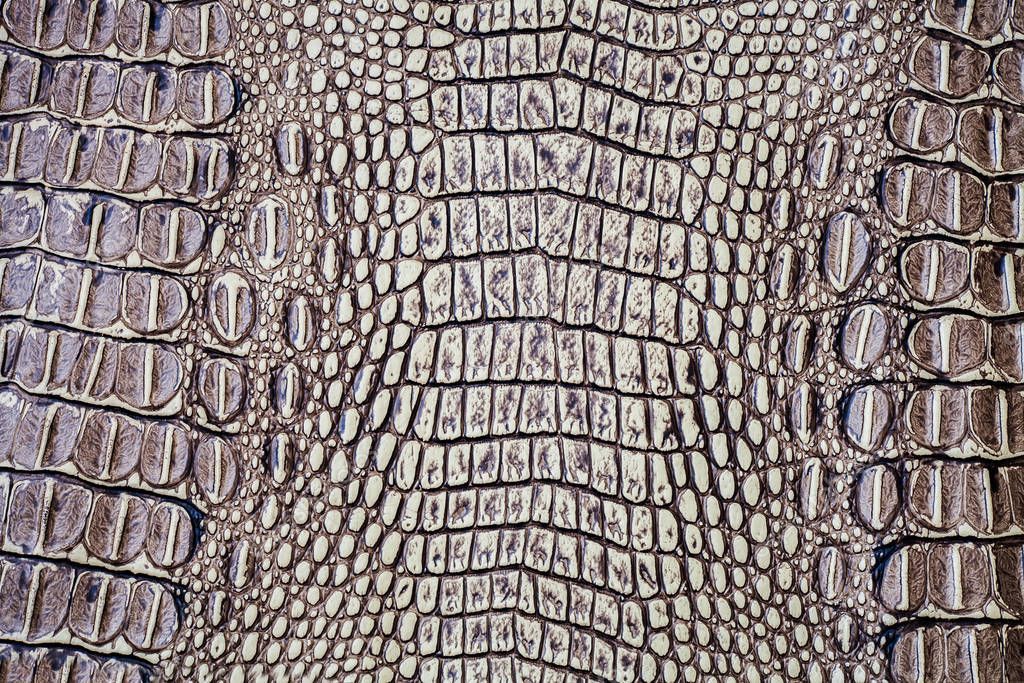 croc skin  Crocodile skin, Seamless textures, Alligator skin