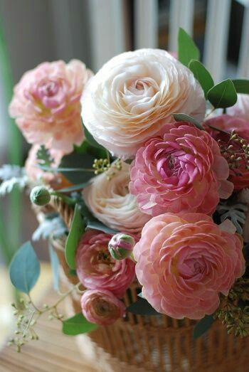 Cvety Bukety Cvetochnye Kompozicii おしゃれまとめの人気アイデア Pinterest Ana Laura Ragone ピンク 花 花畑 きれいな花 Cvety Bukety Cvetochnye Kompozicii おしゃれまとめの人気アイデア Pinterest Ana Laura Ragone ピンク 花 花畑 きれいな花