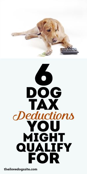 What Can I Deduct For A Foster Dog What Can I Deduct For A Foster Dog