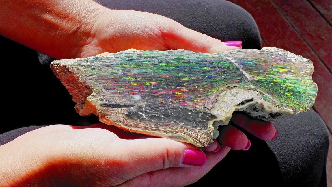 Royal Peacock Opal | Opal, Rocks, gems, Stones, crystals