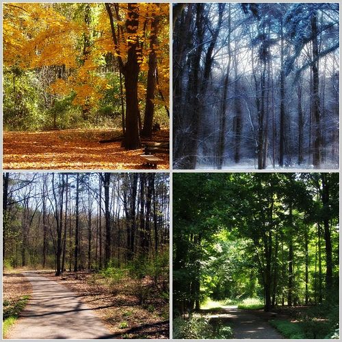 We somewhat get to experience all four seasons.