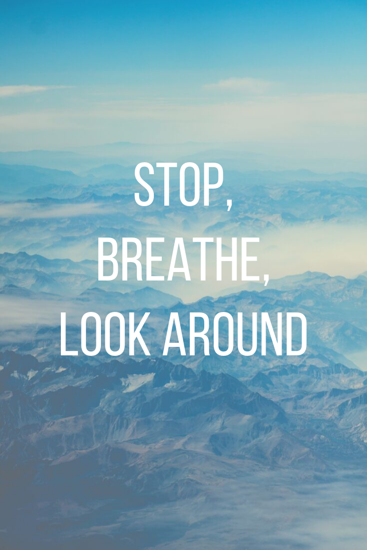 Quote to live by | Iphone wallpaper girly, Wallpaper, Queens wallpaper