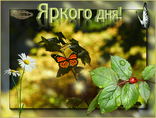 Ночь, хорошего дня открытки гифки