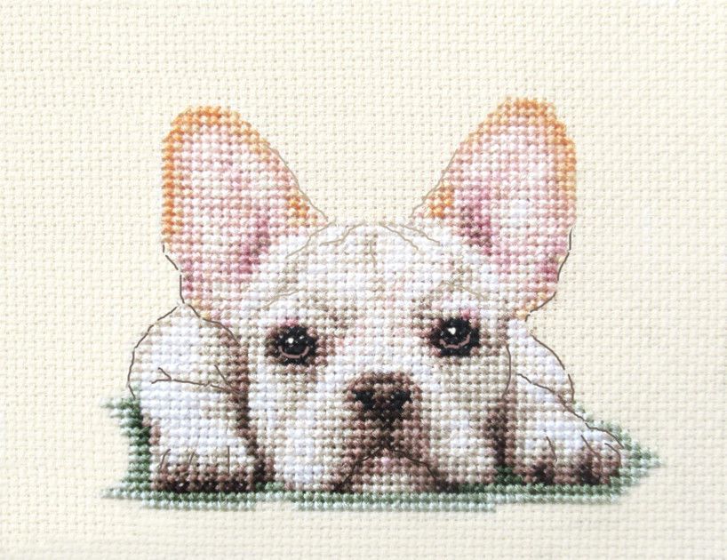 An Original counted cross stitch kit by Fido Stitch Studio. White
