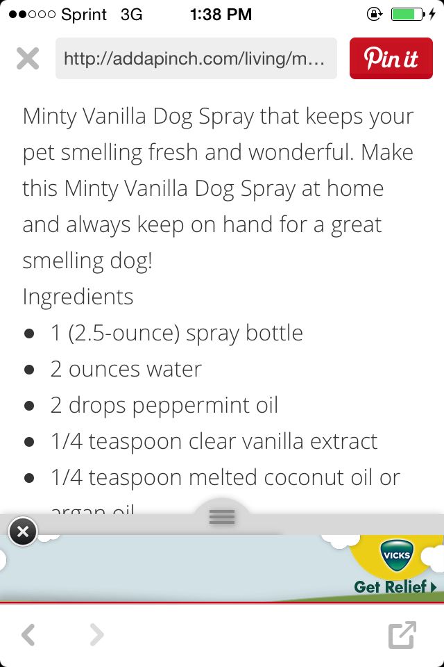 Good Smelling Dog Spray | Dog spray, Spray, Peppermint