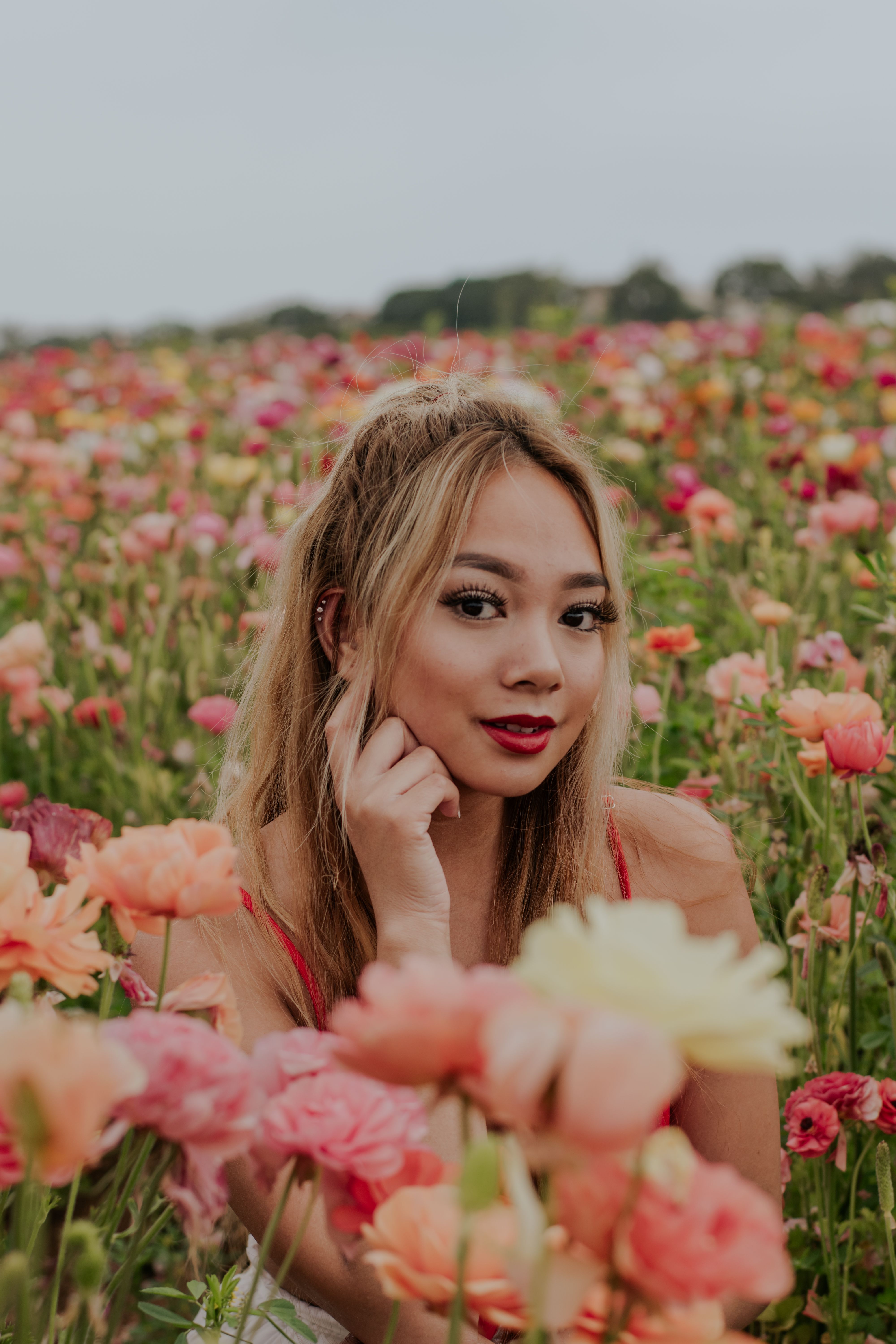 Carlsbad Flower Fields