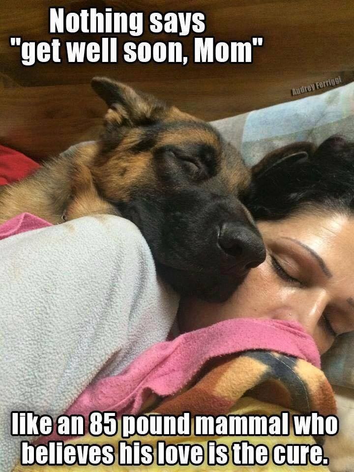 or in my case 125lbs, ♥ dogs & puppies pinterest animal 49d5c20a5ab5e3d39e3dcc67e095849b or in my case 125lbs, ♥ dogs & puppies pinterest animal