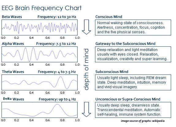 http 1 bp blogspot com jzb8onuvyws t6yvwuhfv i aaaaaaaaac8 brain wave charts