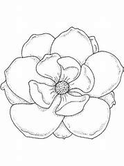 Download Image result for Magnolia Coloring Pages | Flower coloring ...