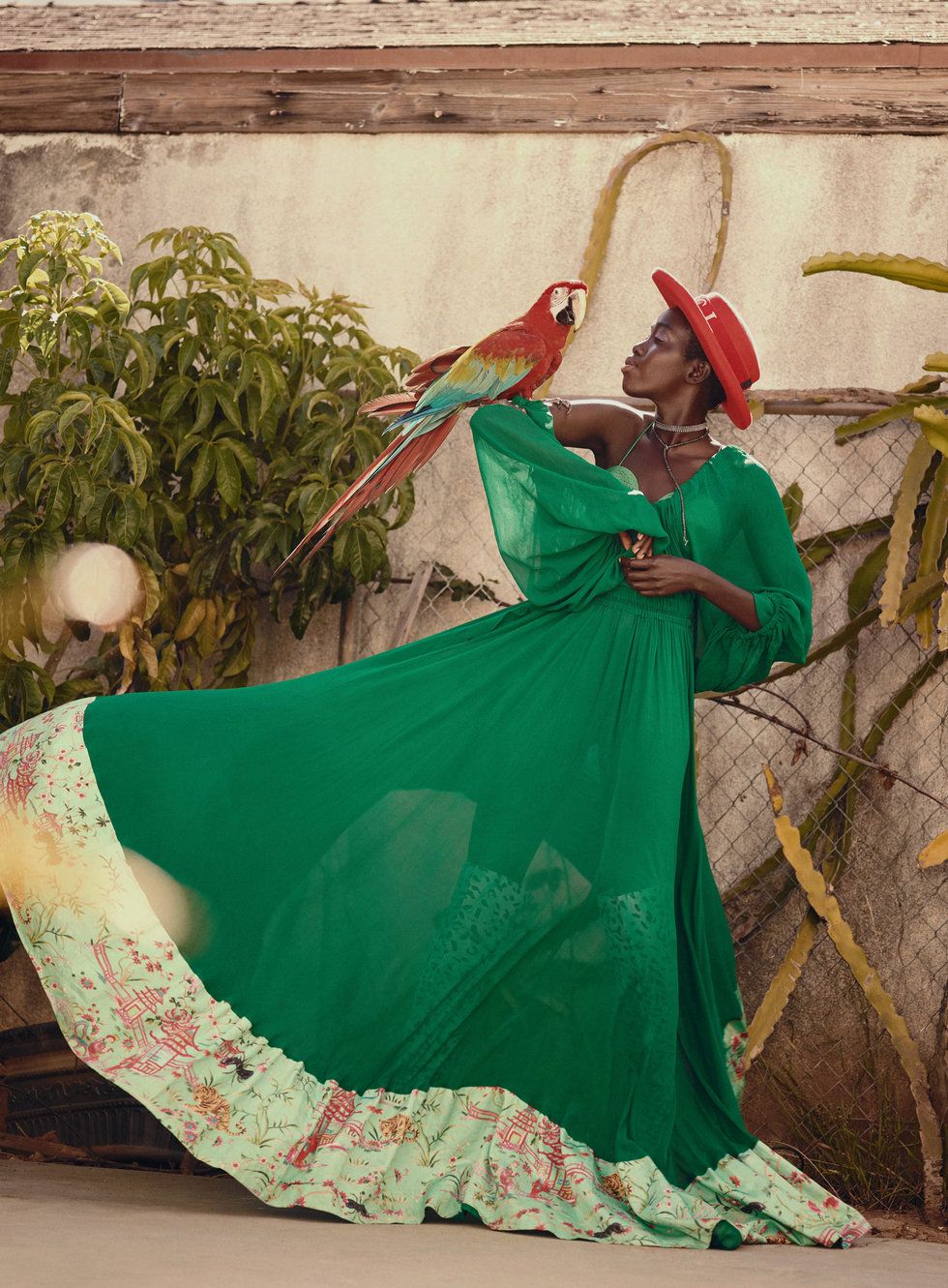 kuoth wiel stars bird paradise lensed by benjo kuoth wiel stars bird paradise lensed by benjo