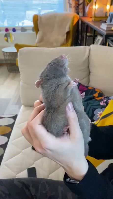 Just the right spot Just the right spot