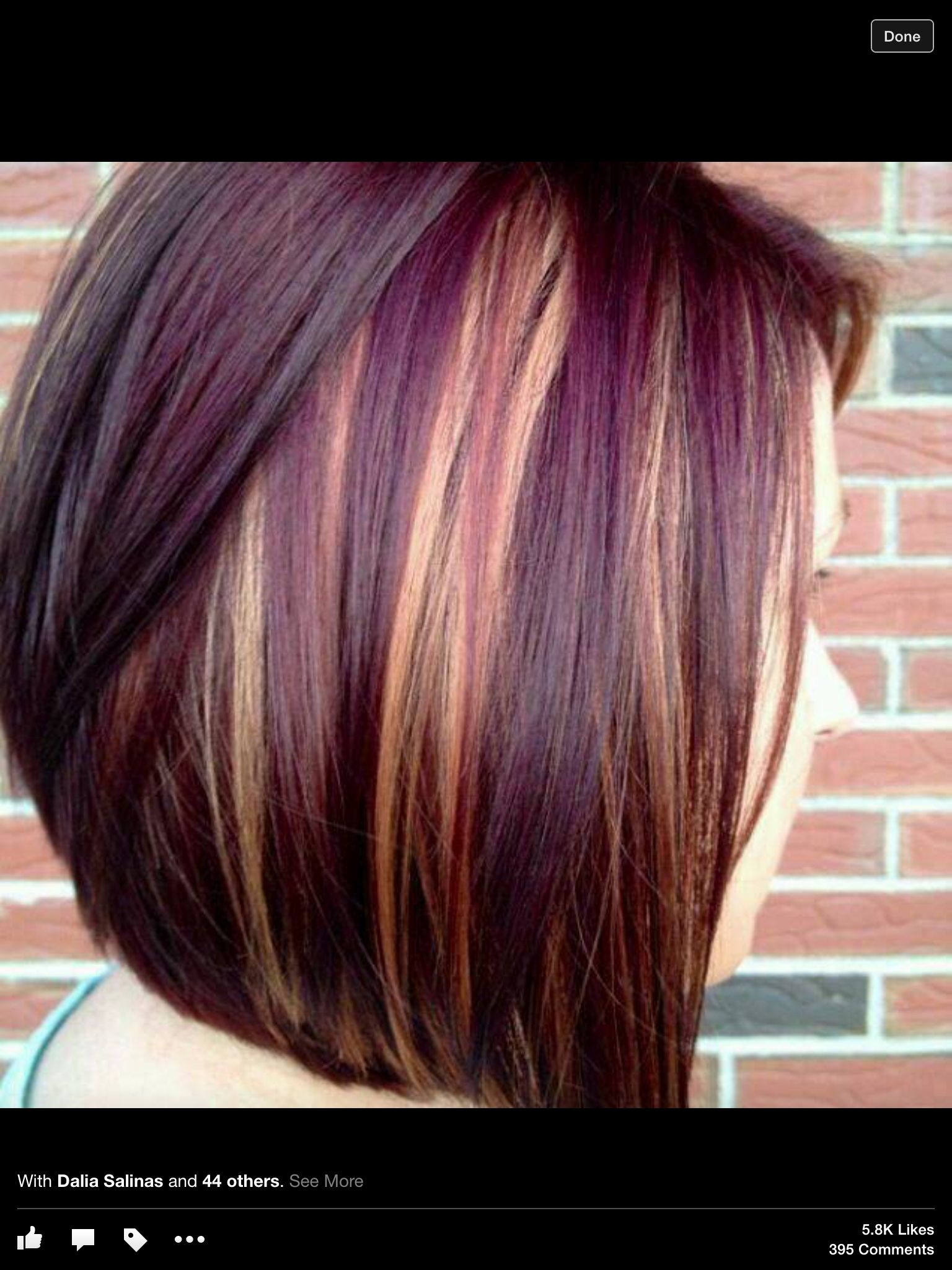 Plum Hair Black Highlights for Straight Hair - wide 8