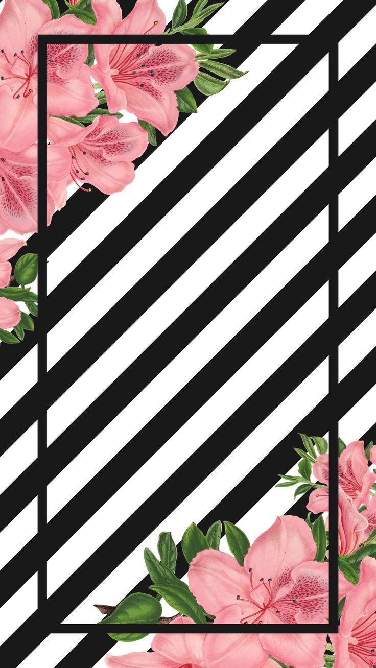 Papel de parede para celular download grátis #downloadcutewallpapers